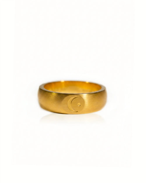 Destiny Ring Gold Plated Stainless Steel Minimal Luxury Jewelry Unisex
